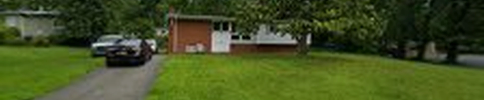 RUMAN TREE SERVICES