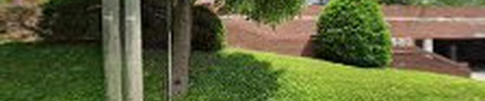 Stokes Tree Solutions