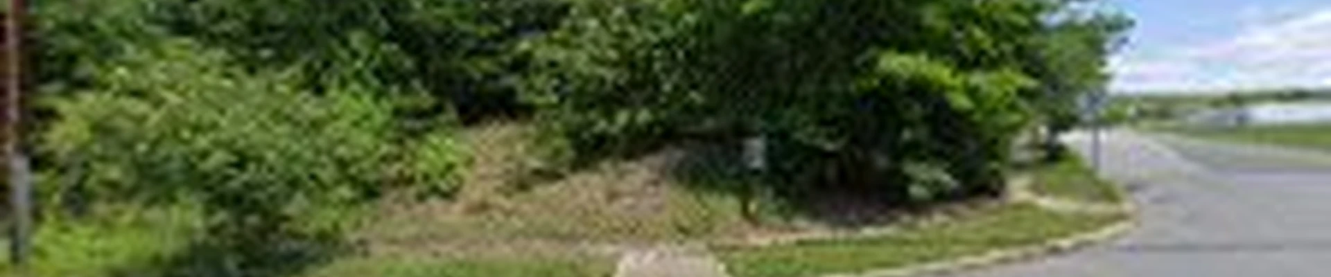 Lane's Termite Pest Inc
