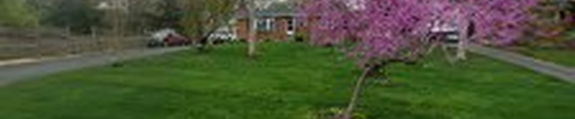 Santos Lawn Services LLC