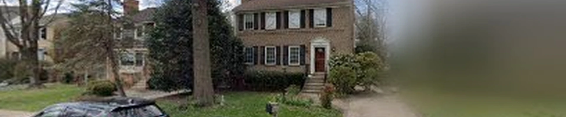 Olsen Tree Service And Removal