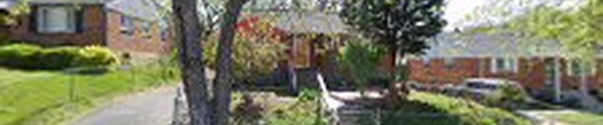 Professional Quality tree service LLC