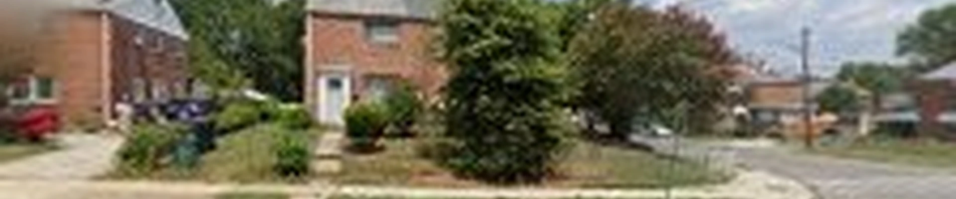 Borjalawn & tree service