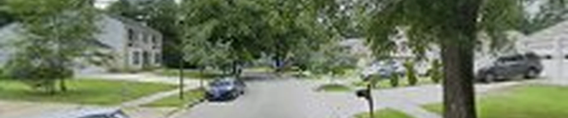 JMD tree service