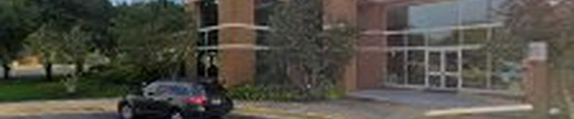 Herndon Tree