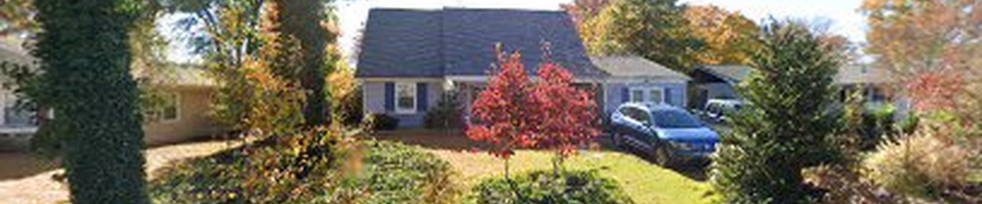 Arborist Consulting & Tree Preservation, LLC
