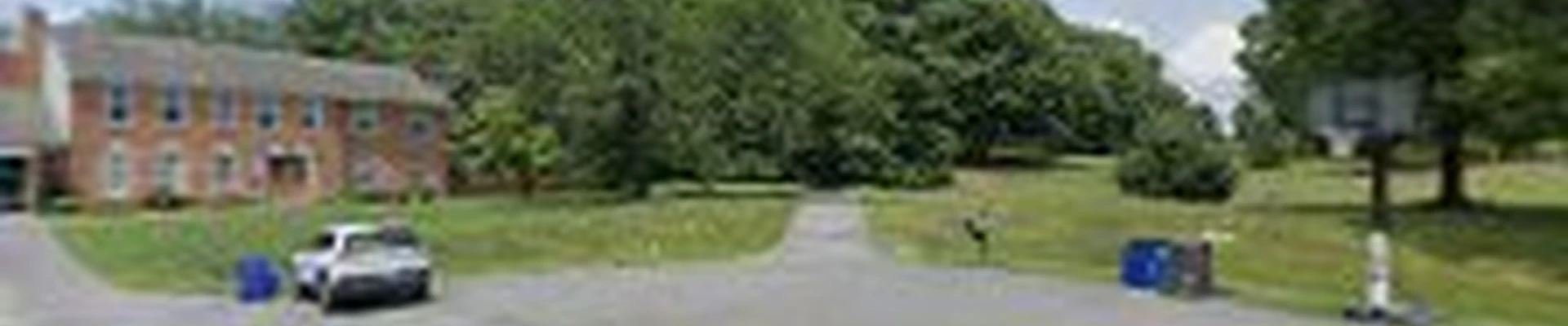 Clark Tree Services