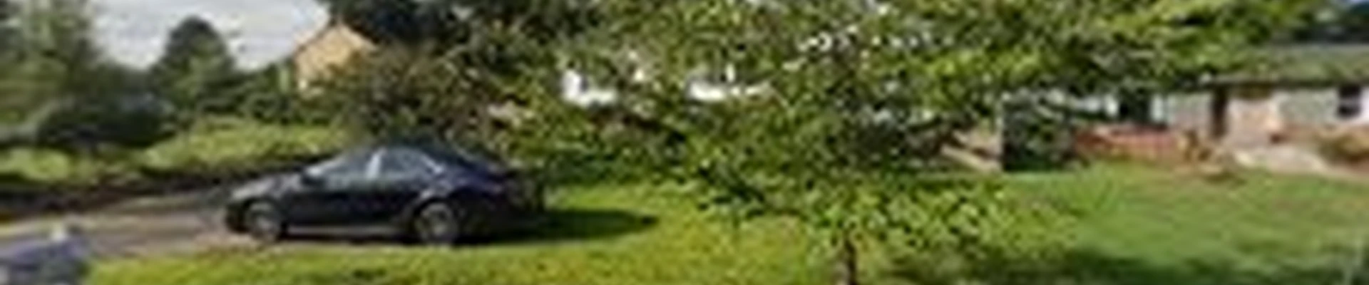 Evergreen Tree Experts