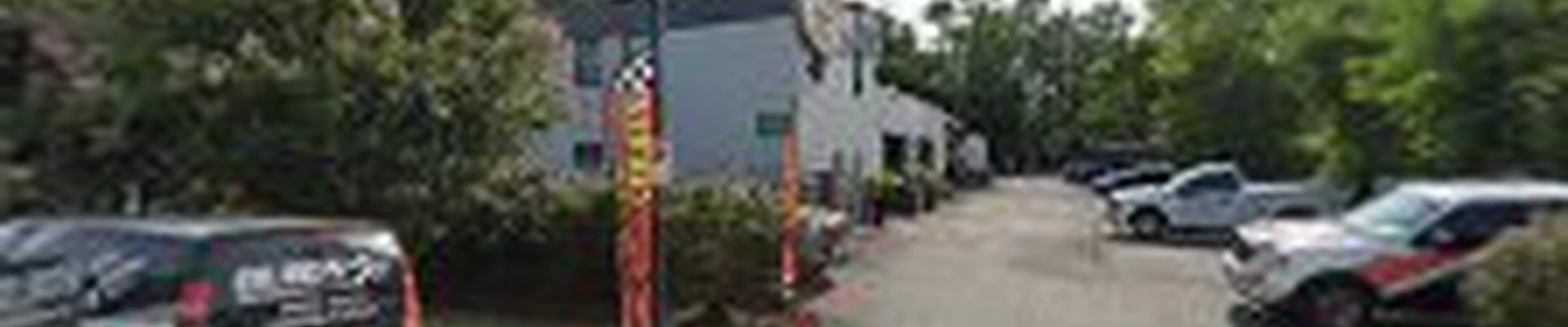Takoma Tree Experts