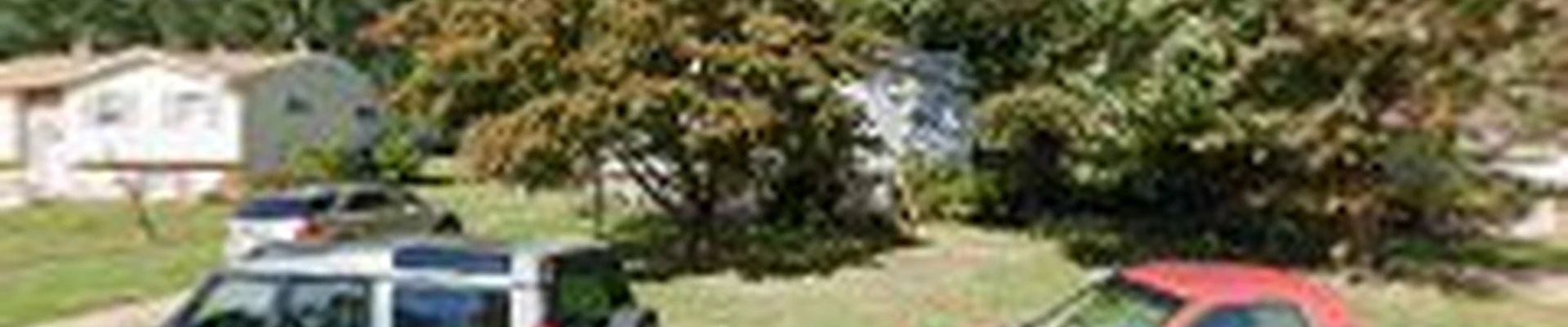 Myers and Laws Tree Service