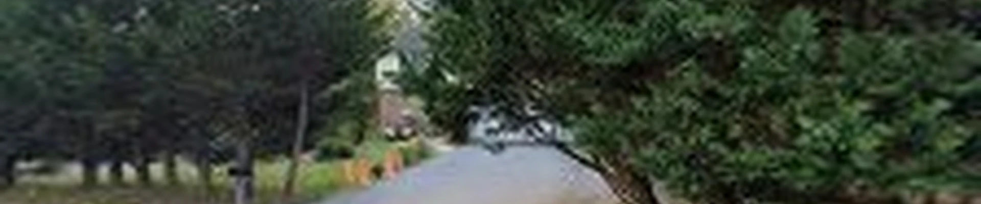 Garcia's Tree Experts General Contractors Co. Inc.