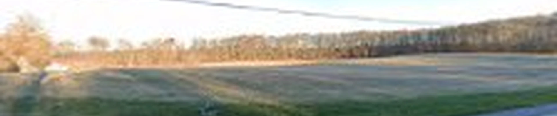 Bush Creek Tree Service, LLC