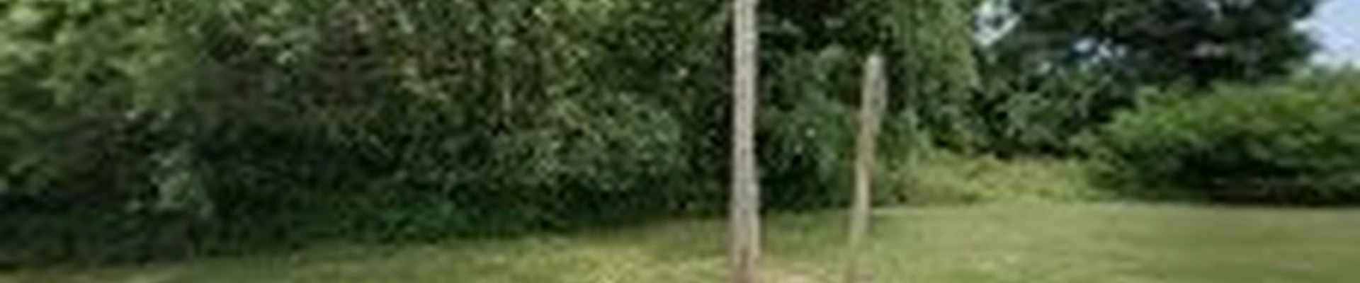 Martinez Tree Service llc