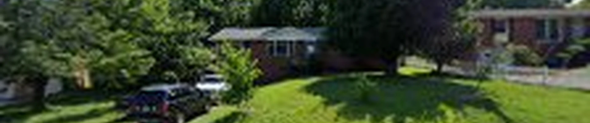 MM Tree Services