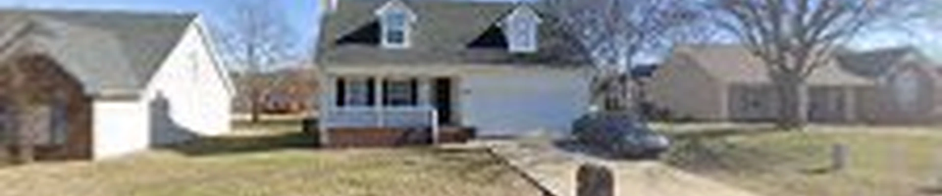 Timber Wolf Tree Service