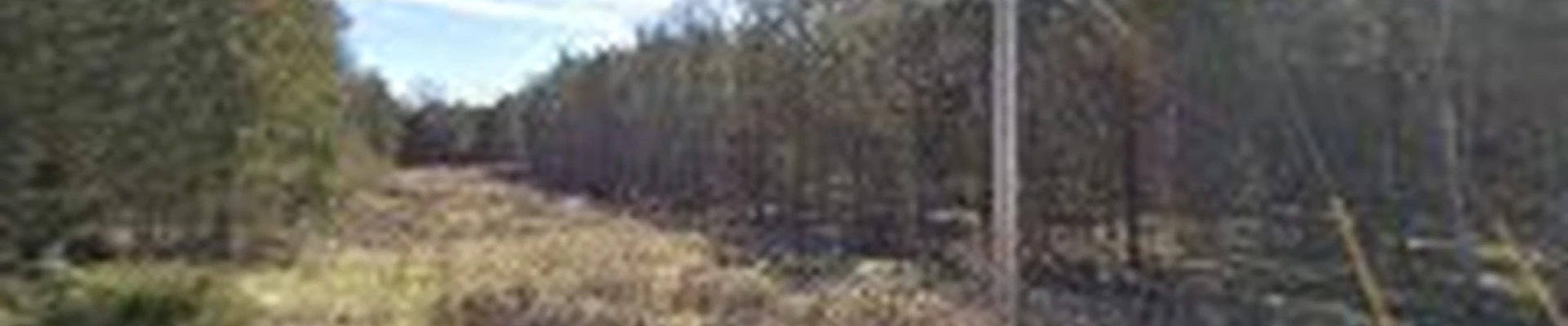 Middle Tennessee Tree Service LLC