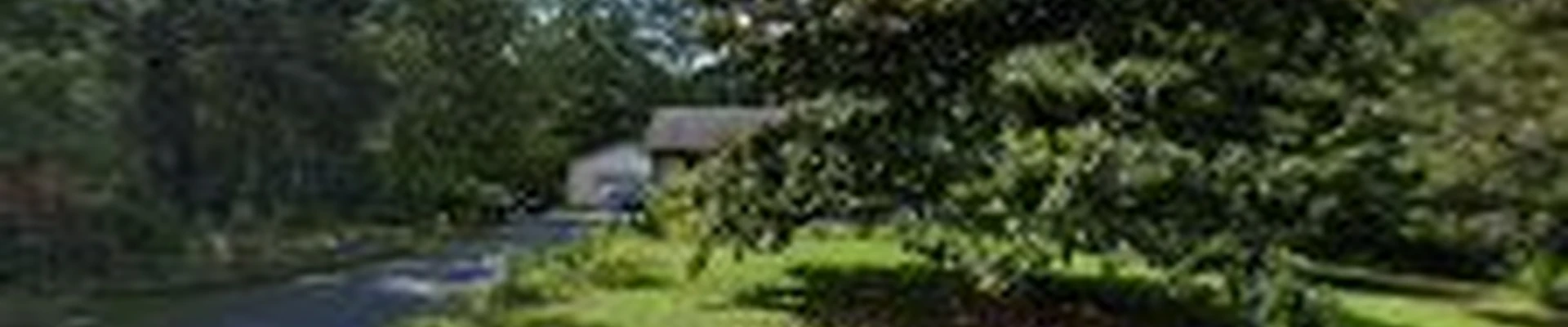R & D Tree Service