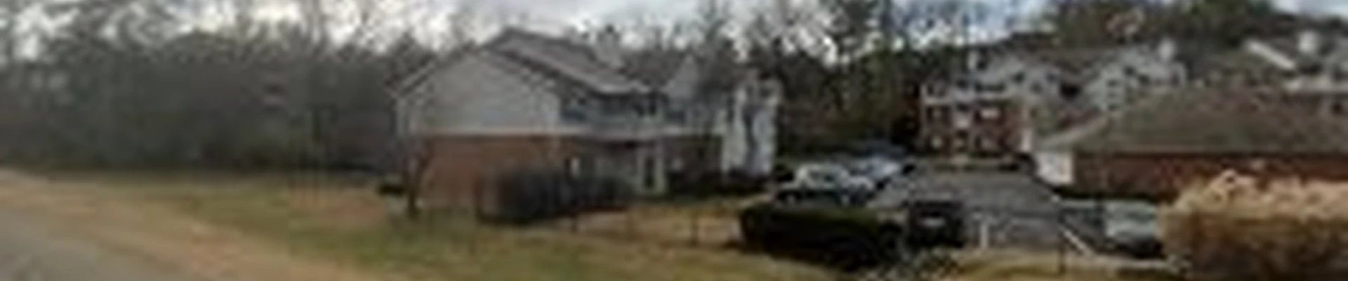 Dendro Tree Care