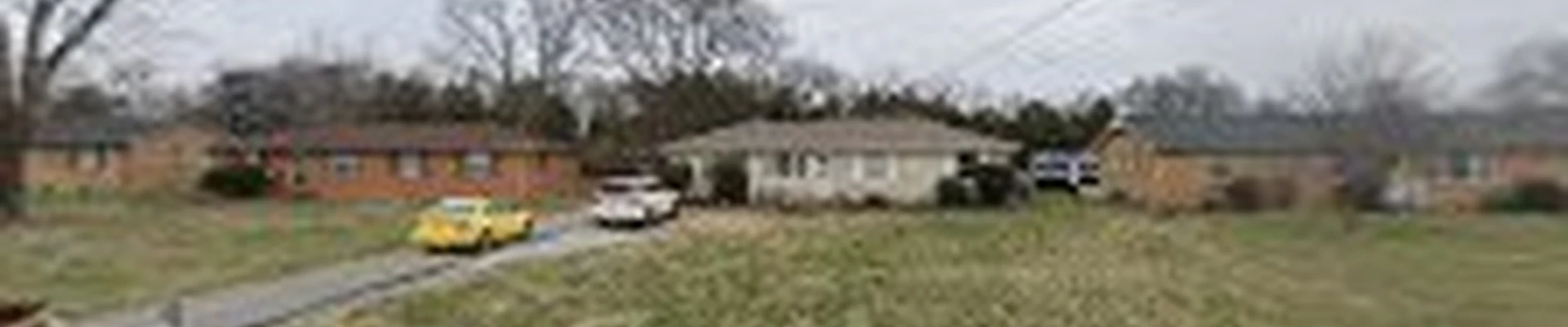 Langford Tree Care llc