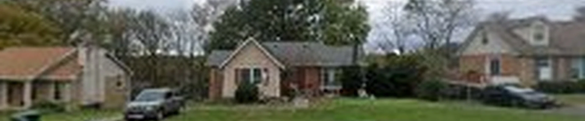 J MTZ Tree Services