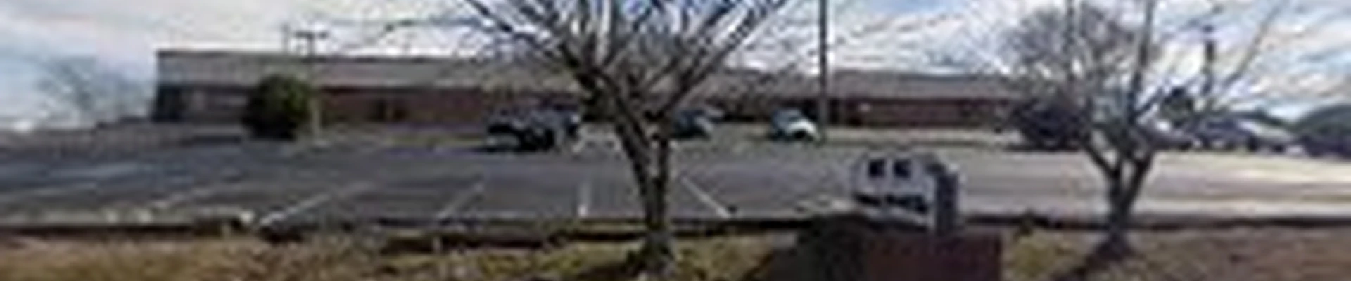 Vail Tree Service Hendersonville