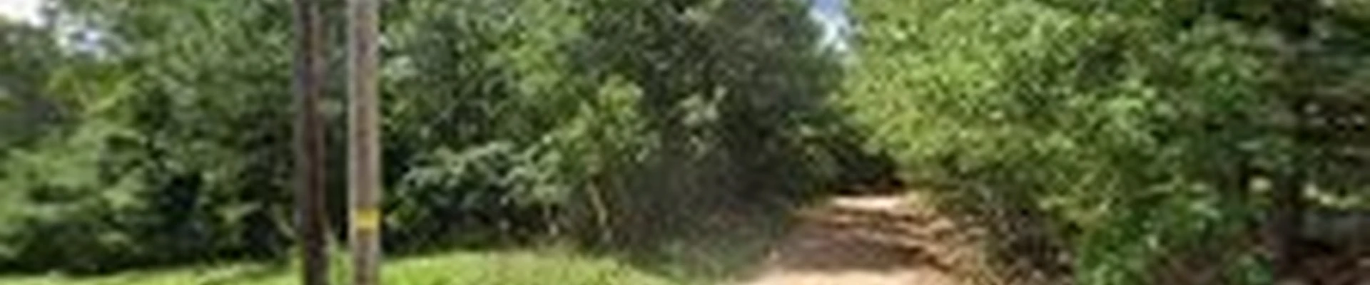 Ats american tree service