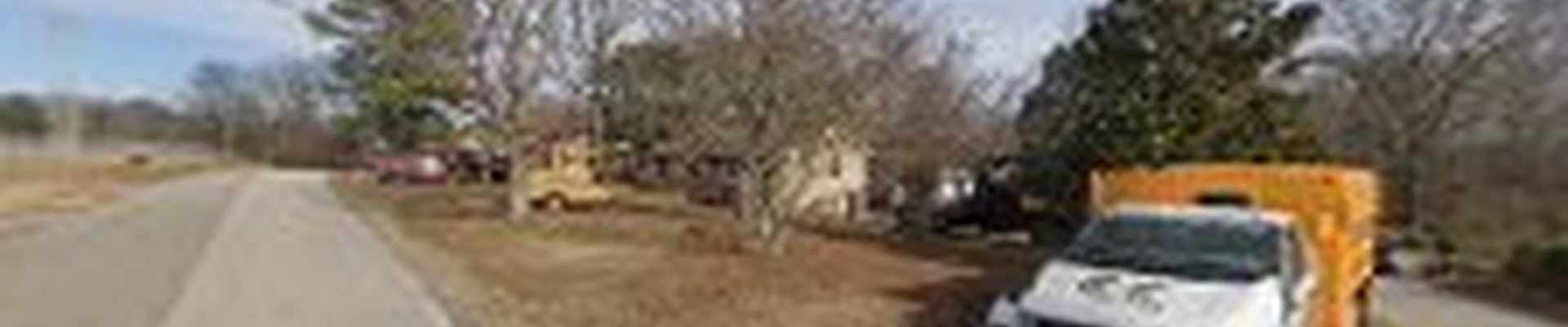 Dandy Tree Service