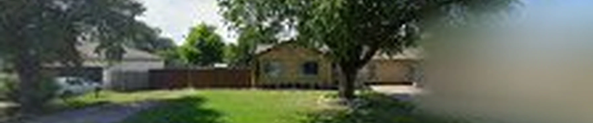 Forest Tree Service LLC