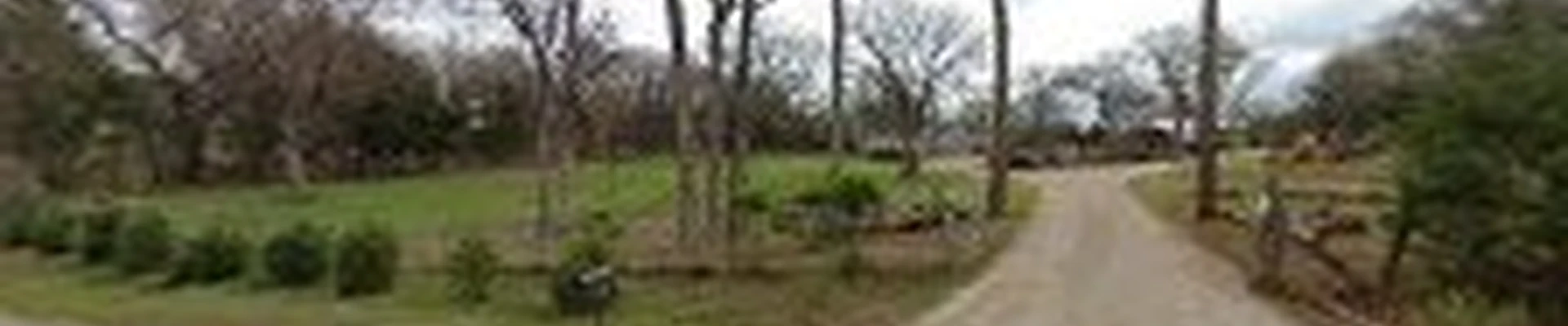 Tree Dr LLC. Tree Care Services