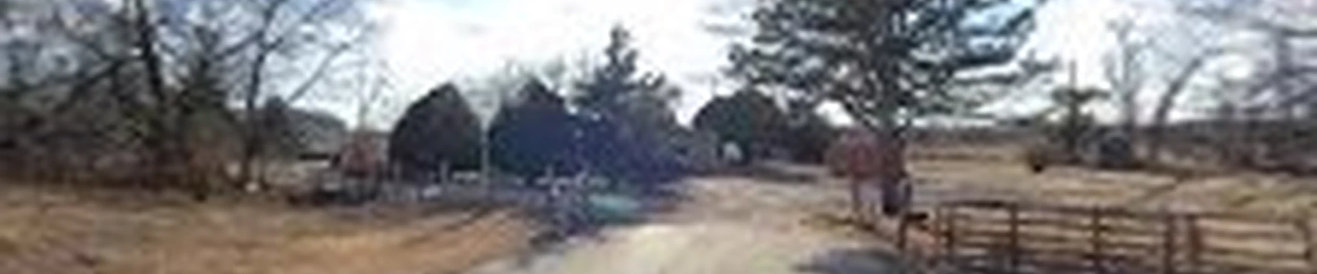 Huff's Tree Services
