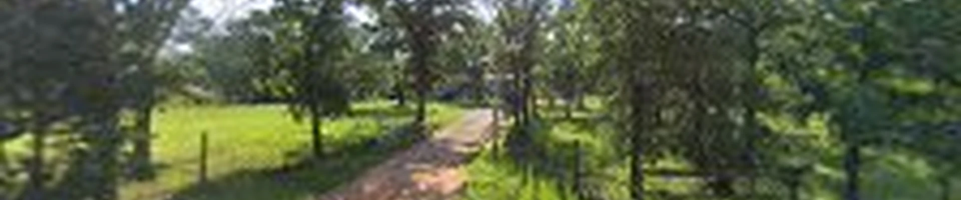 Prairie Wind Tree Service