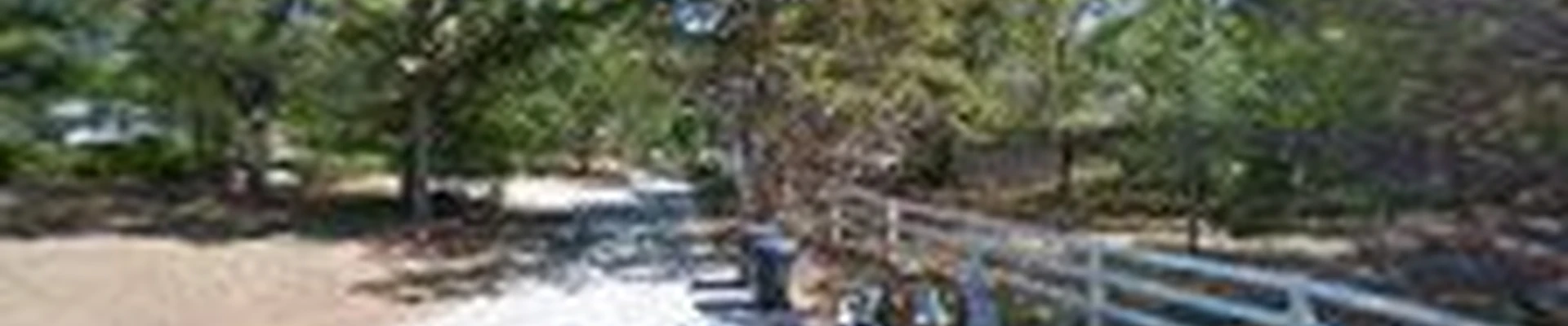 Timber Tree Service