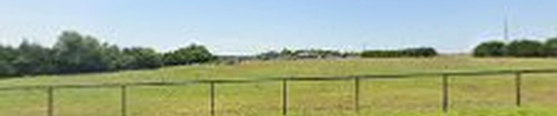 Big Country Lawn & Tree Service, LLC
