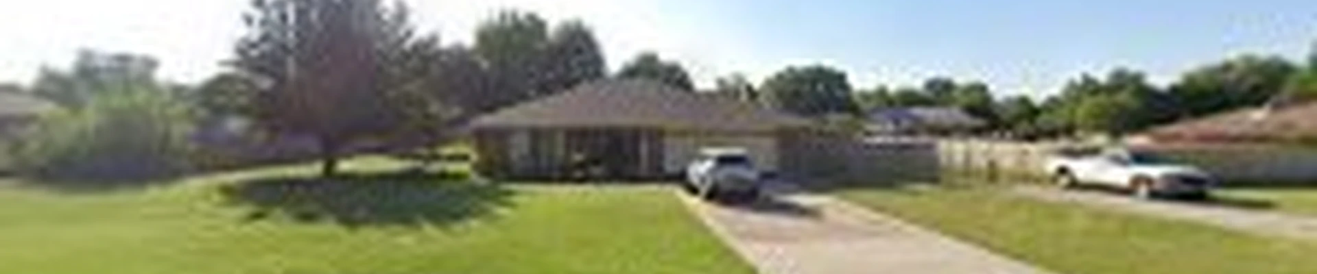 Pro Trim Tree Service