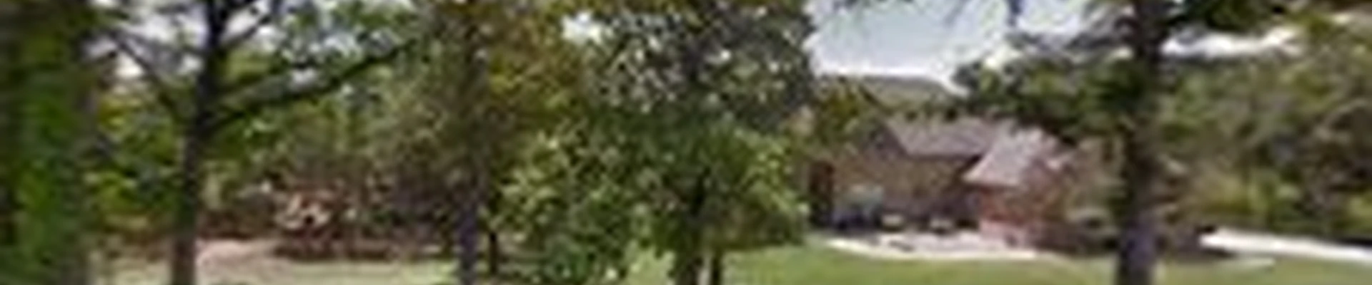 Top Notch Tree and Landscape