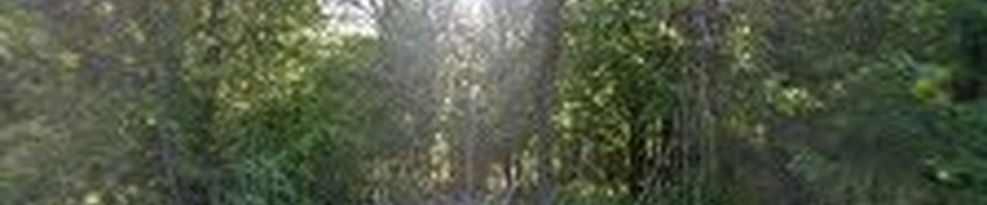 Pioneer Lawns LLC