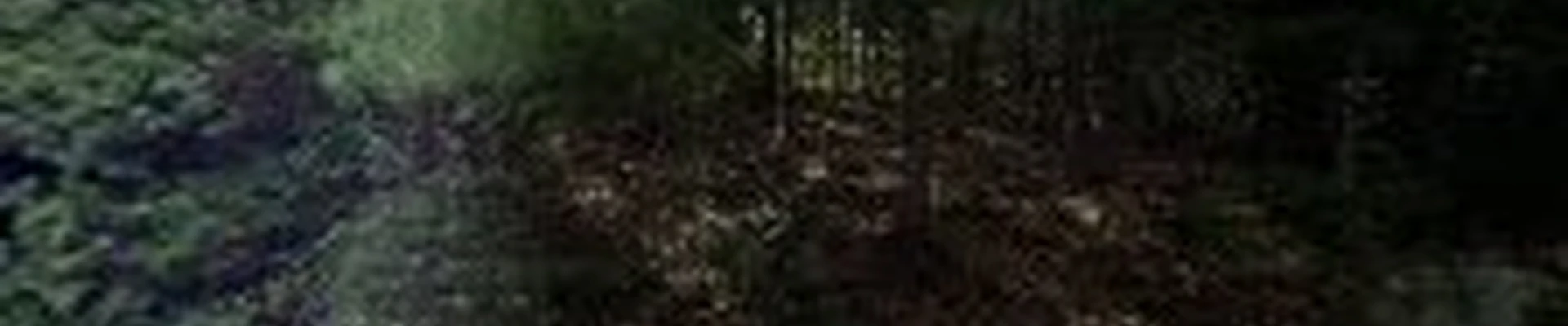 Cutler Tree Service