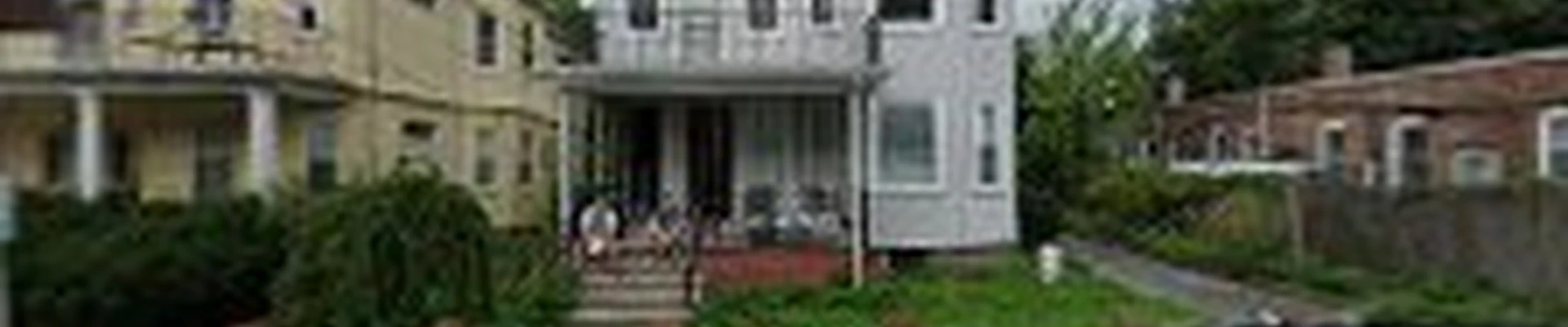 Tree Service Of Metro Boston