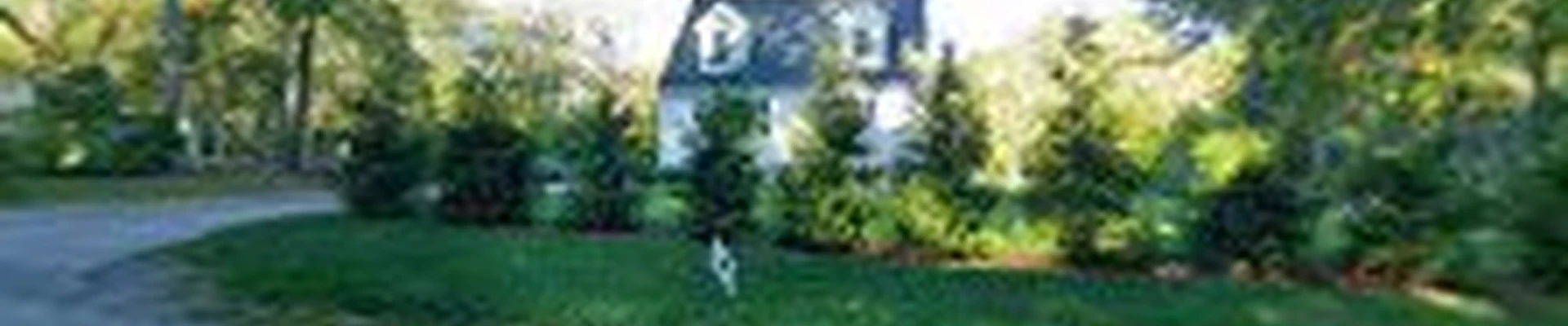 DF Tree LLC