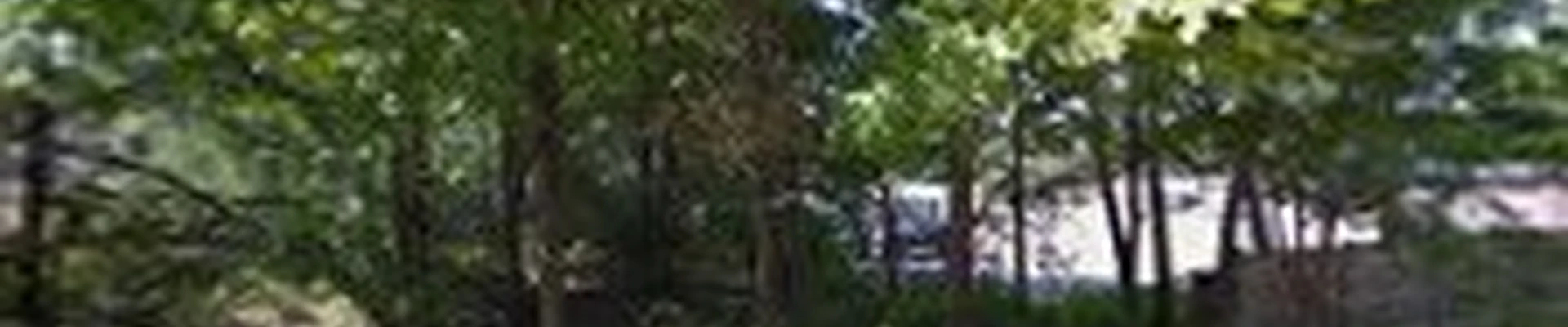 JPW Tree Service LLC