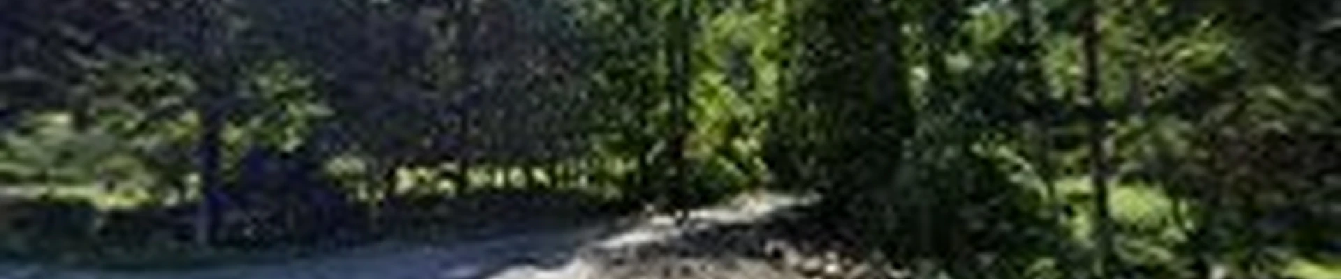 Foppema Tree Care