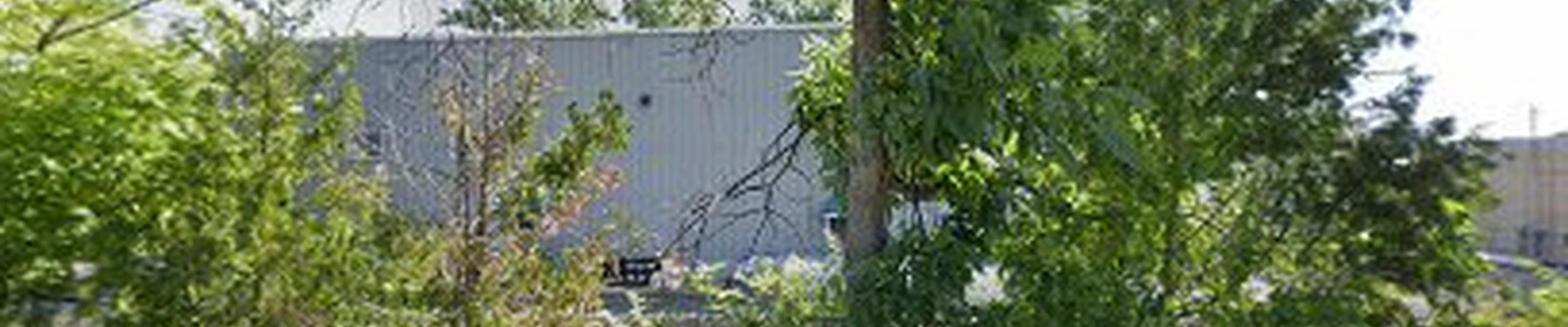 Alpine Tree Specialists