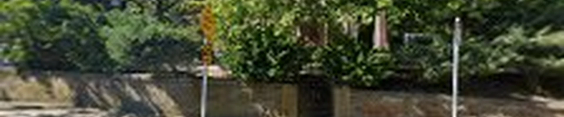 Schwan's Tree Care