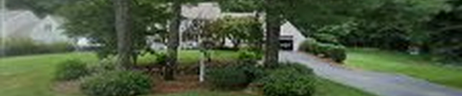 Glynn Tree Experts