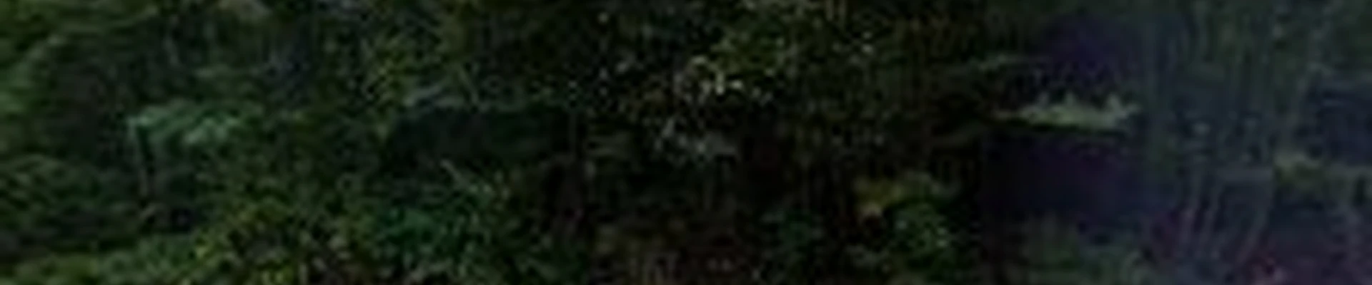 Berube Tree and Construction LLC