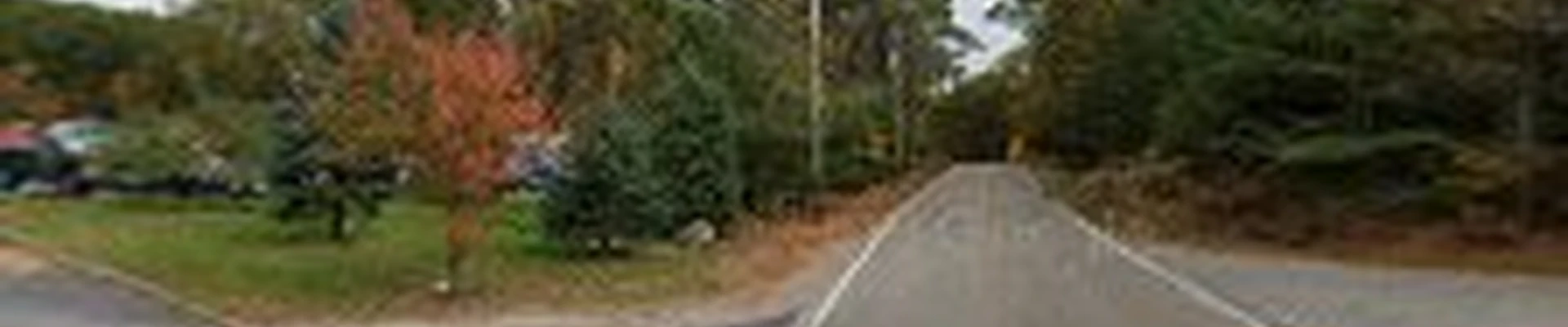 New England Tree Masters | Tree Service in Boxborough MA
