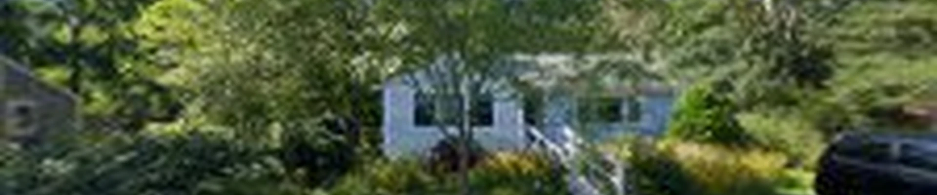 Cape Cod Tree Care