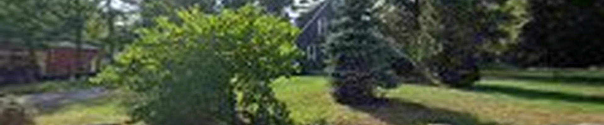 Matt Mitko Expert Tree Climber