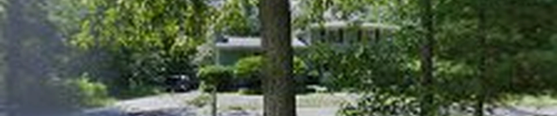 Ross Tree and Contracting