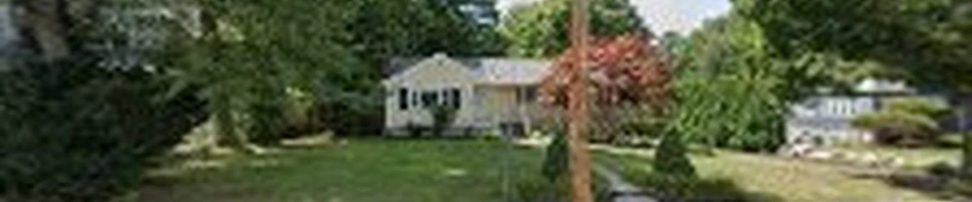 McDonough Tree Removal Inc.